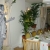 Living Statues